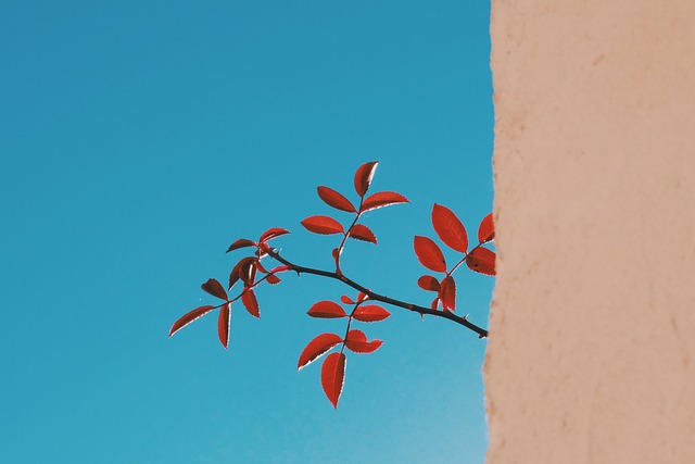 青空